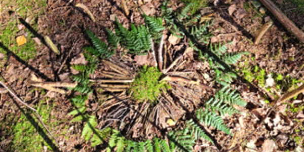 Waldboden mit gelegtem Mandala aus Blättern